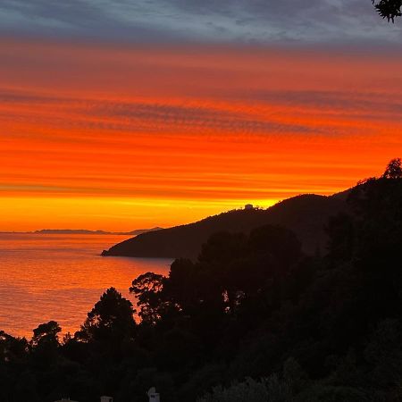 Magnifique Villa Neuve Vue Mer Cavalaire-sur-Mer Esterno foto