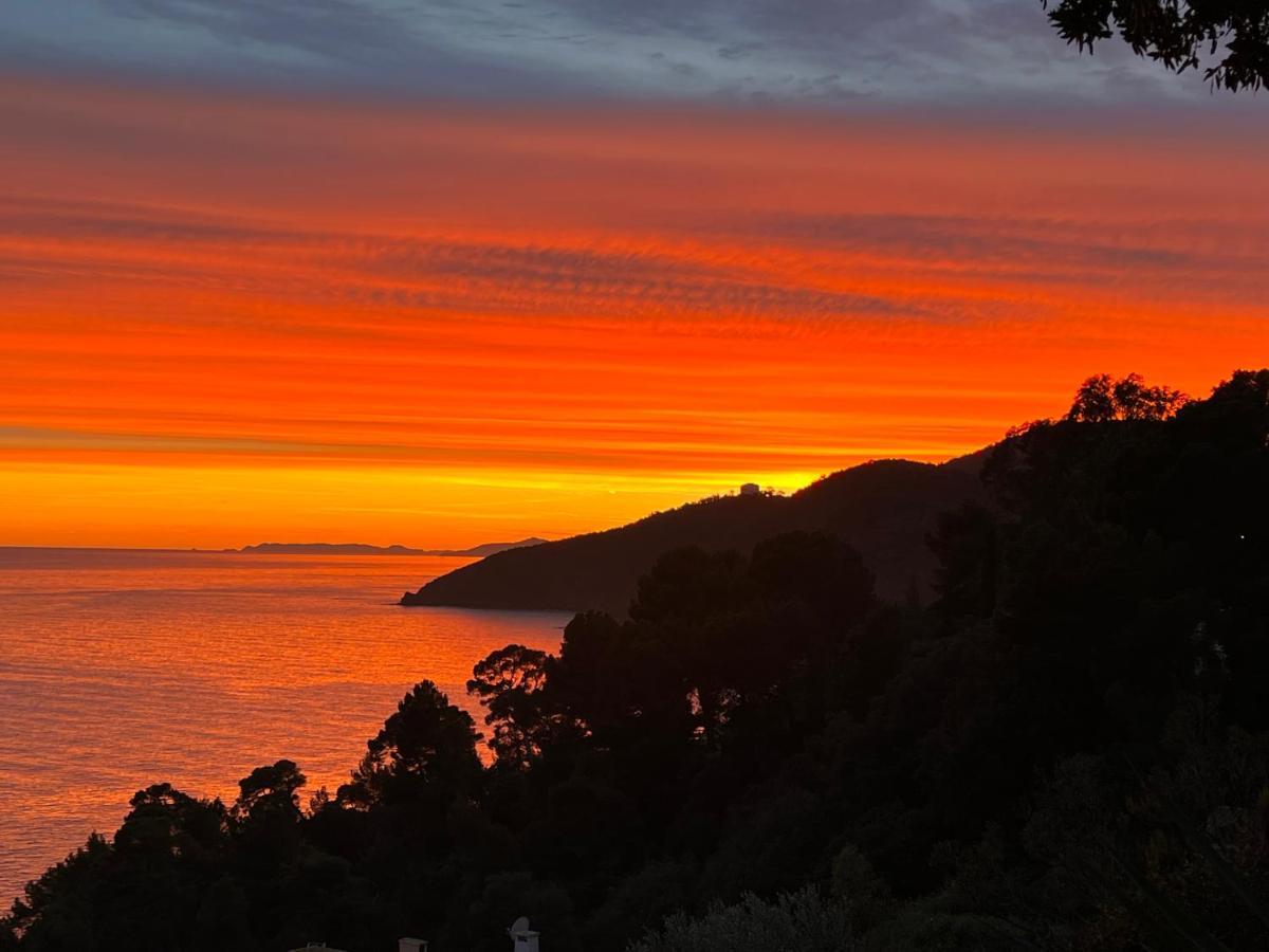 Magnifique Villa Neuve Vue Mer Cavalaire-sur-Mer Esterno foto